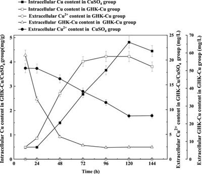 Improved laccase production by Trametes versicolor using Copper-Glycyl-L-Histidyl-L-Lysine as a novel and high-efficient inducer